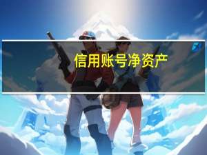 信用账号 净资产（信用账号）