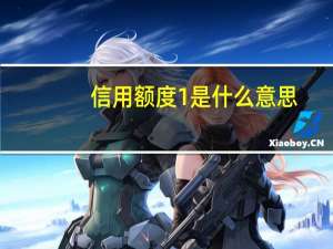 信用额度1是什么意思