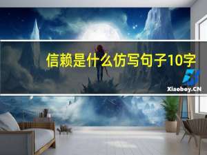 信赖是什么仿写句子10字（信赖是什么）
