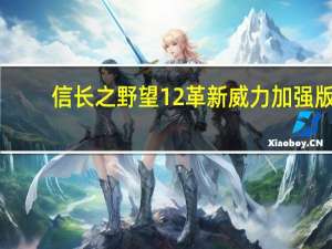 信长之野望12革新威力加强版（信长之野望12革新威力加强版打不开）