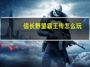 信长野望霸王传怎么玩