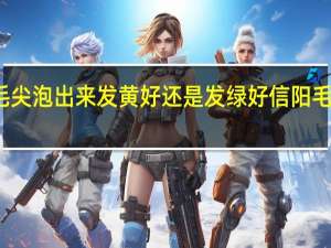 信阳毛尖泡出来发黄好还是发绿好 信阳毛尖是绿茶吗