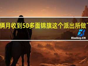 俩月收到50多面锦旗这个派出所做了什么？ 到底什么情况呢