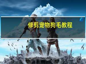 修剪宠物狗毛教程