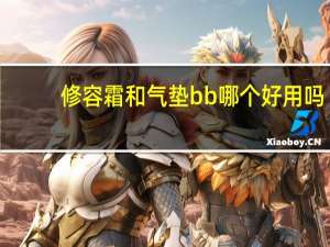 修容霜和气垫bb哪个好用吗