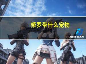 修罗带什么宠物