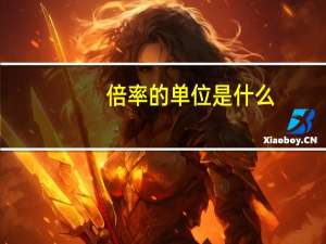 倍率的单位是什么