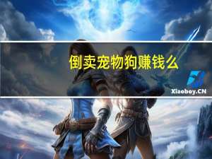 倒卖宠物狗赚钱么