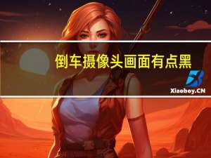 倒车摄像头画面有点黑