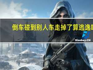 倒车碰到别人车走掉了算逃逸吗
