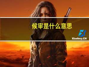 候审是什么意思