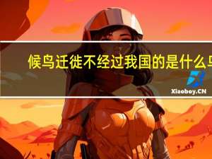 候鸟迁徙不经过我国的是什么鸟（候鸟俱乐部）