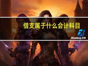借支属于什么会计科目