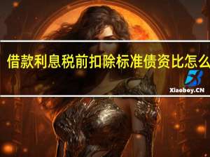 借款利息税前扣除标准债资比怎么理解（借款利息税前扣除标准）