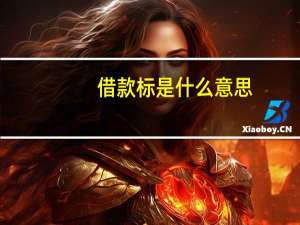借款标是什么意思