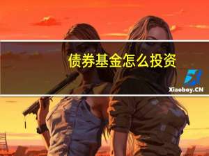 债券基金怎么投资