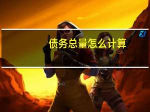 债务总量怎么计算