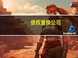 债权置换公司（债权置换）