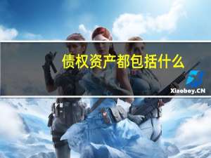 债权资产都包括什么