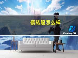 债转股怎么样