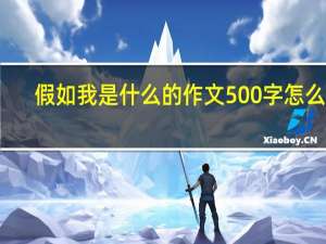 假如我是什么的作文500字怎么写（假如我是什么的作文500字）