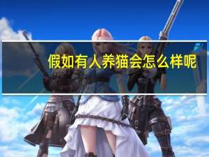 假如有人养猫会怎么样呢