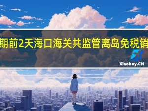 假期前2天 海口海关共监管离岛免税销售金额2.64亿元