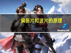 偏振片和波片的原理