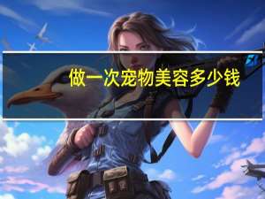 做一次宠物美容多少钱