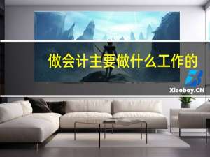 做会计主要做什么工作的