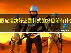 做双眼皮埋线好还是韩式的好 目前有什么地方 可以