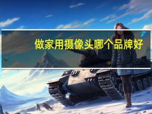 做家用摄像头哪个品牌好