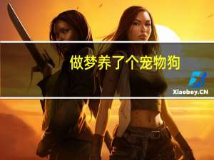 做梦养了个宠物狗