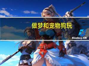 做梦和宠物狗玩