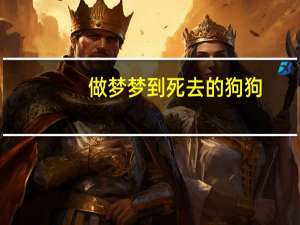 做梦梦到死去的狗狗
