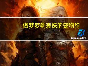 做梦梦到表妹的宠物狗