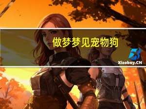 做梦梦见宠物狗