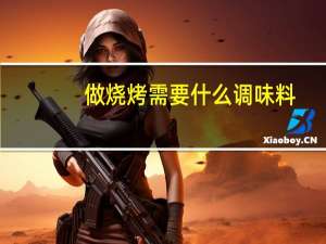 做烧烤需要什么调味料
