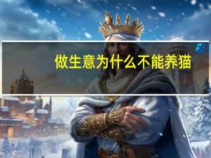 做生意为什么不能养猫