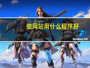 做网站用什么程序好