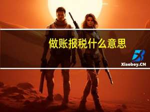 做账报税 什么意思