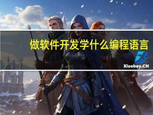 做软件开发学什么编程语言