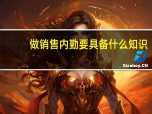 做销售内勤要具备什么知识，技能，经验