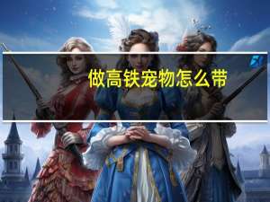做高铁宠物怎么带