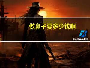 做鼻子要多少钱啊？做鼻子多少钱