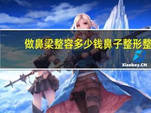 做鼻梁整容多少钱 鼻子整形整容多少钱