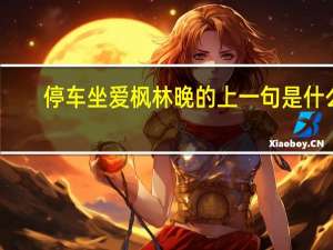 停车坐爱枫林晚的上一句是什么