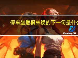 停车坐爱枫林晚的下一句是什么