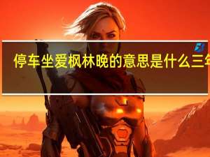 停车坐爱枫林晚的意思是什么三年级（停车坐爱枫林晚的意思）