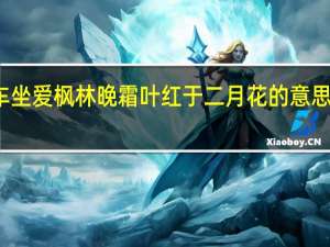 停车坐爱枫林晚霜叶红于二月花的意思写的哪里（停车坐爱枫林晚霜叶红于二月花的意思）